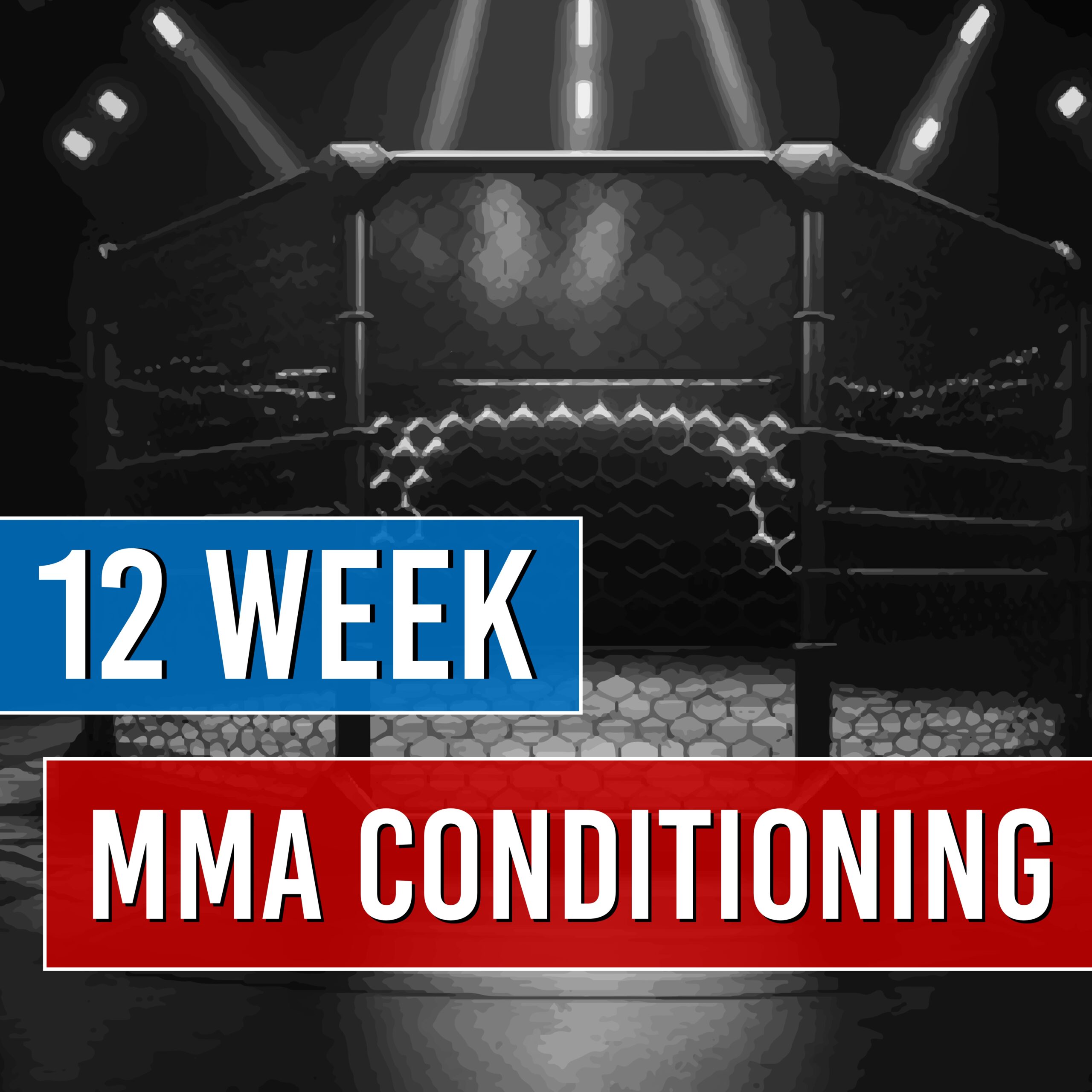 MMA Endurance Program (12 weeks)